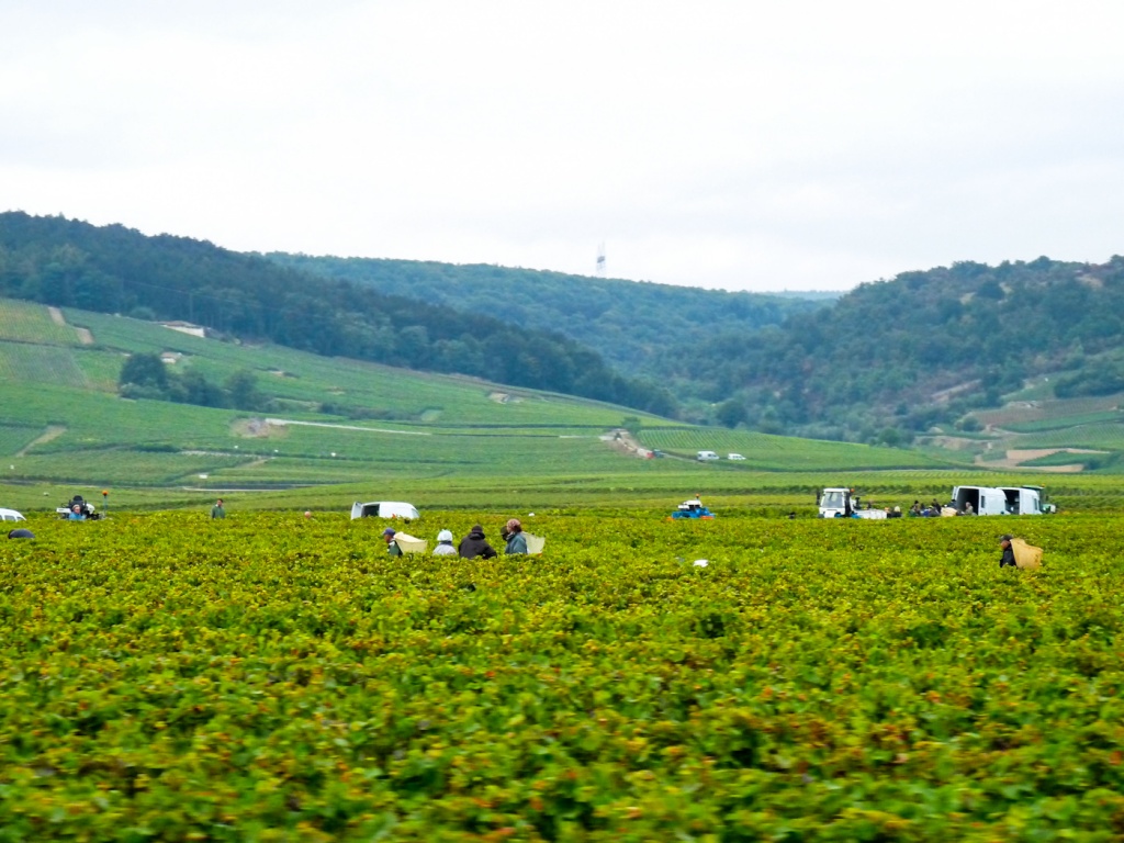 Acercarseiembre 22 septembre | 16h51