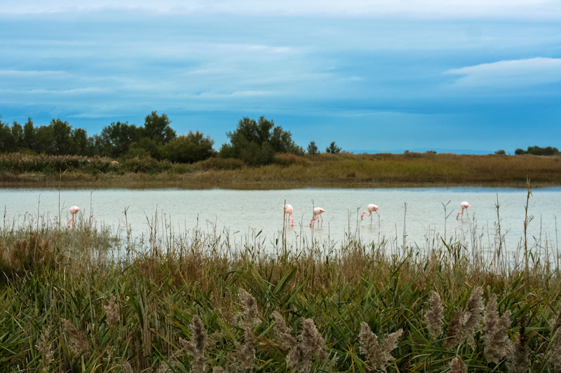 Zoom in 5 novembre | 15h27