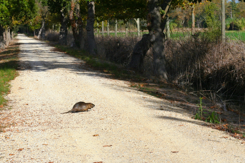 Zoom in 6 novembre | 9h51