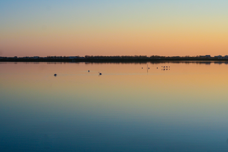 Ingrandirembre 29 novembre | 16h46