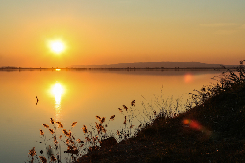 Ingrandirembre 29 novembre | 16h54