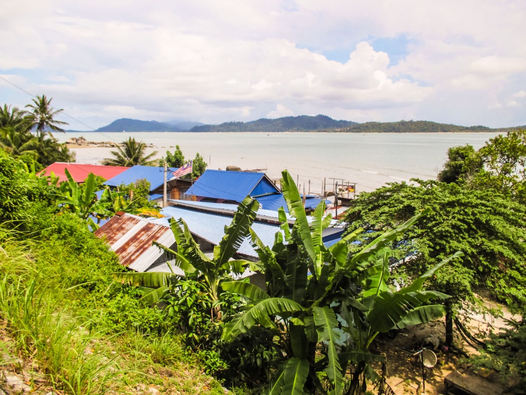 Zoom in 26 novembre | 12h49