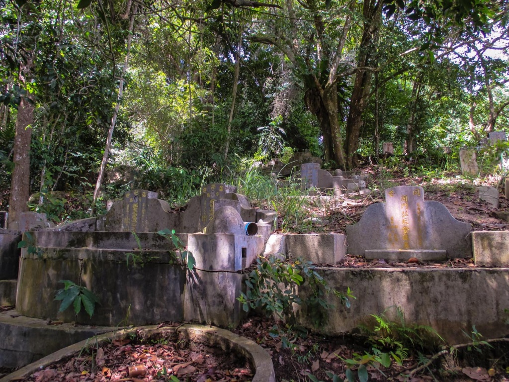 Zoom in 26 novembre | 12h54