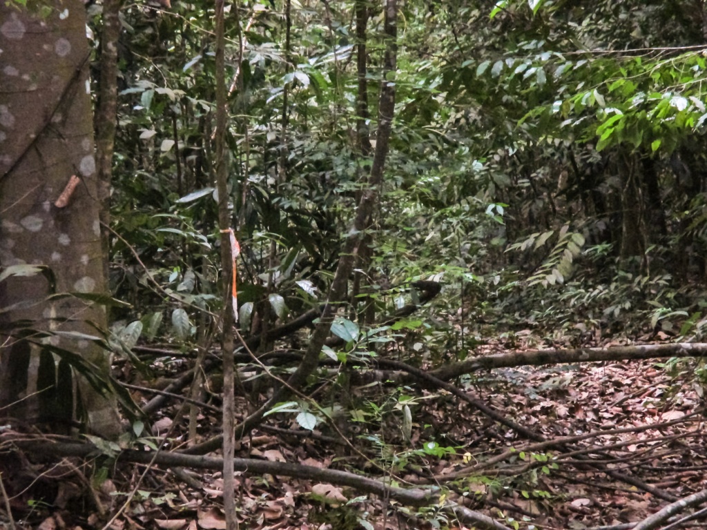 Zoom in 26 novembre | 15h18