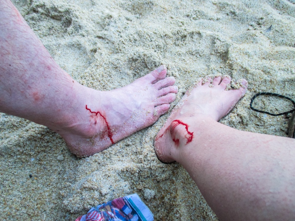 Zoom in 26 novembre | 18h11