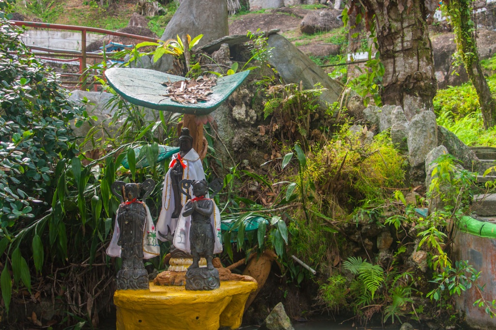 Zoom in 27 novembre | 15h32