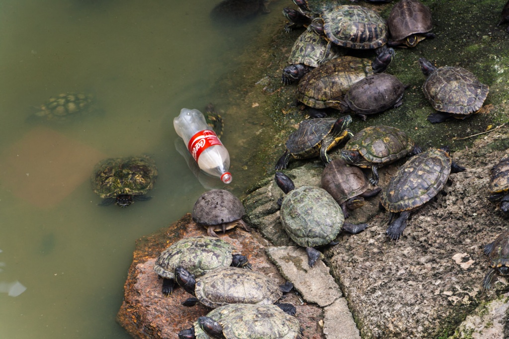 Zoom in 27 novembre | 15h45