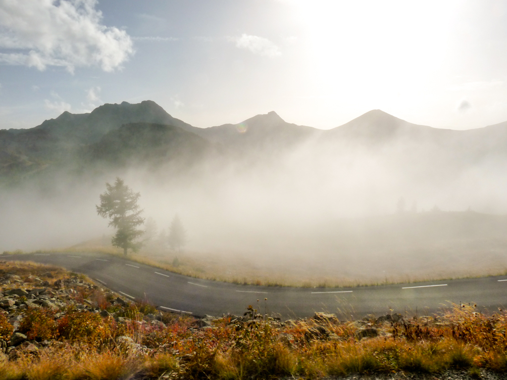 Zbliżenieziernik9 8 octobre | 15h59