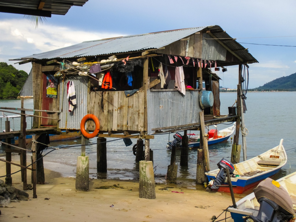 Zoom in 27 novembre | 16h32