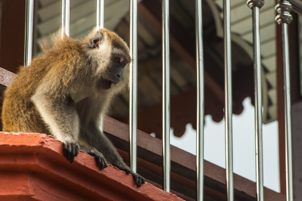 Zoom in 27 novembre | 16h58