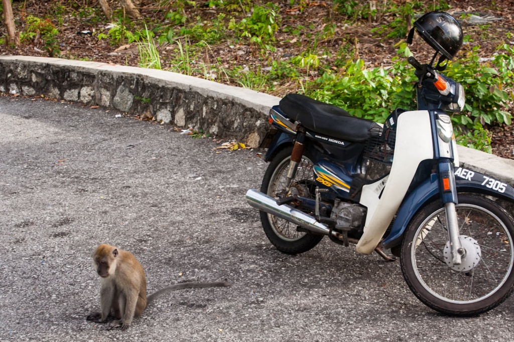 Zoom in 27 novembre | 17h06