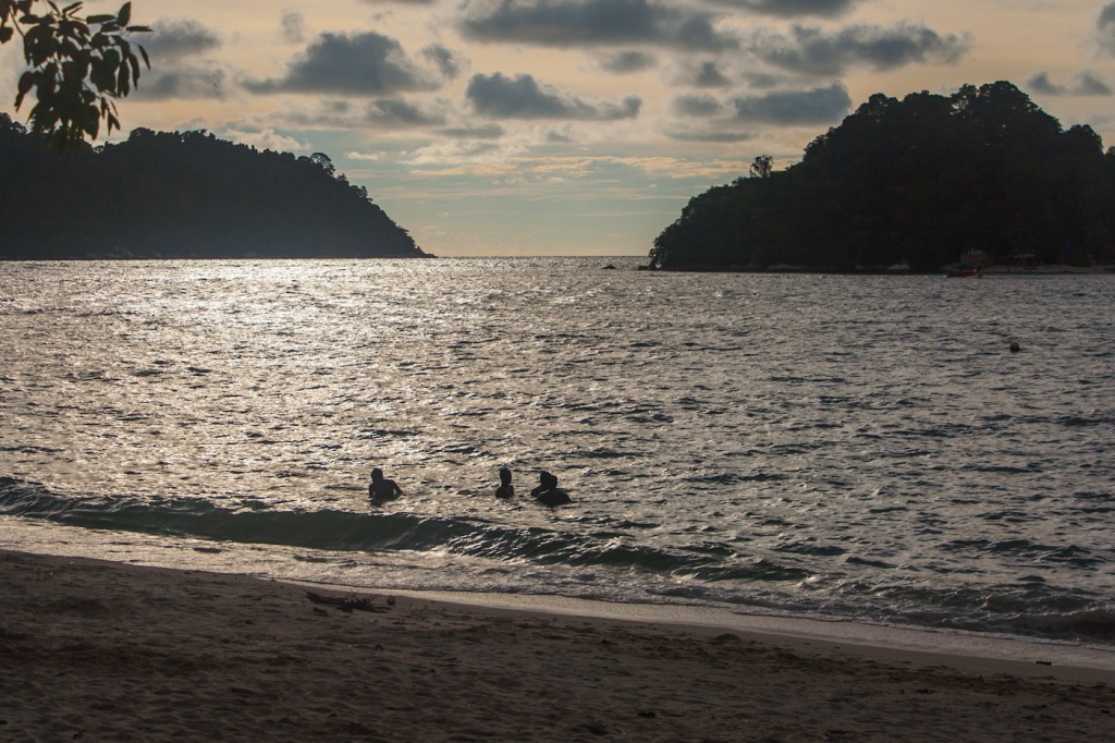 Zoom in 27 novembre | 17h42