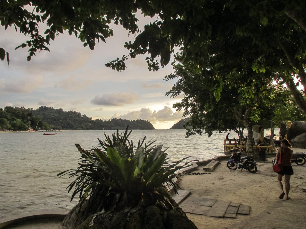 Zoom in 27 novembre | 18h22