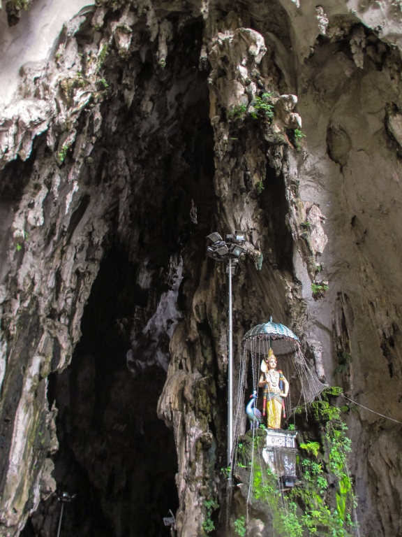 Zoom in 29 novembre | 14h27